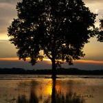 mississippi_river2