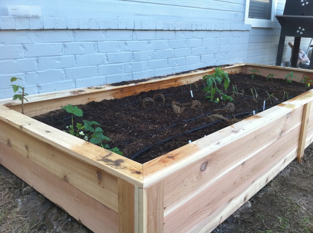Raised_bed_front
